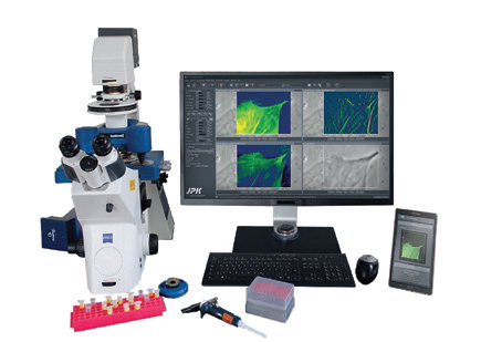 Bio Atomic Force Microscopy